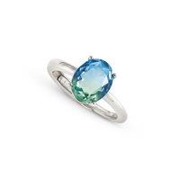 Anello Nomination Donna Symbiosi in Argento 240800/025